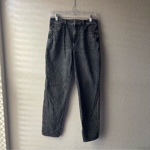 American Eagle Outfitters Strigid Mom Jeans